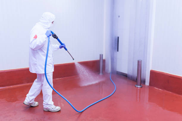 Best Driveway Pressure Washing  in Lochmoor Waterway Estates, FL